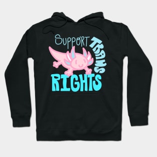 Trans Rights Axolotl Back print Hoodie